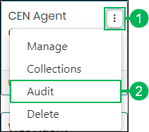 Audit Option on the Group Action Menu